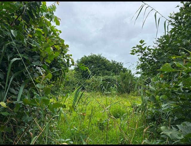 LAND FOR SALE IN ZINI RIVER ESTATE